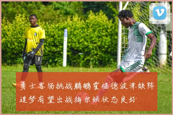 勇士客场挑战鹈鹕霍福德波津缺阵追梦有望出战梅尔顿状态良好