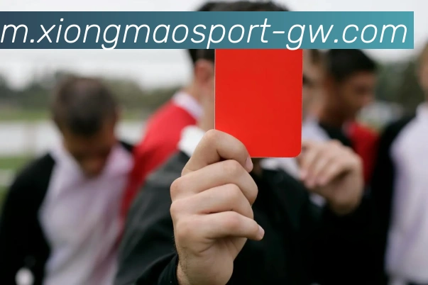 熊猫体育品牌故事