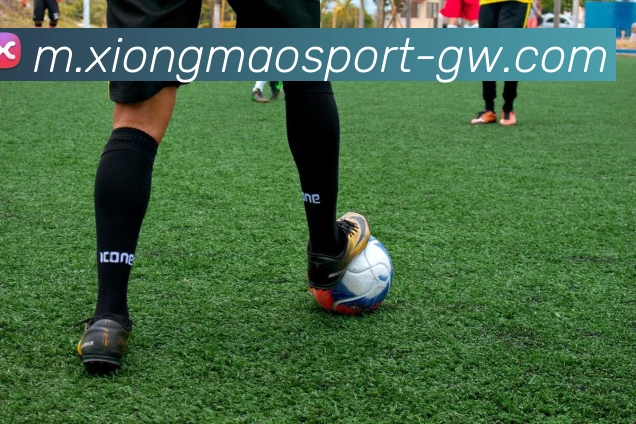 熊猫体育服务体系